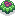 Primula Enigma